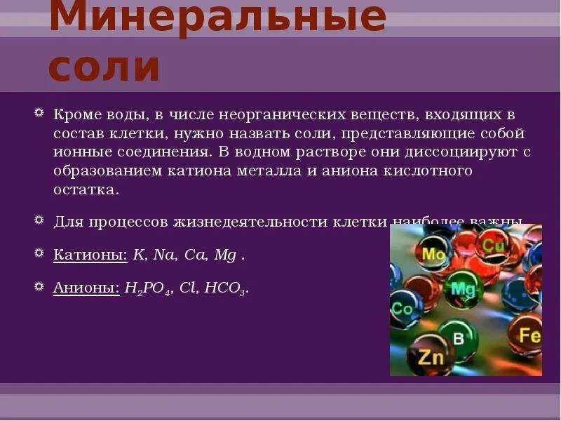 Функция органических и неорганических веществ. Минеральные вещества клетки вода Минеральные соли. Неорганические вещества Минеральные соли.