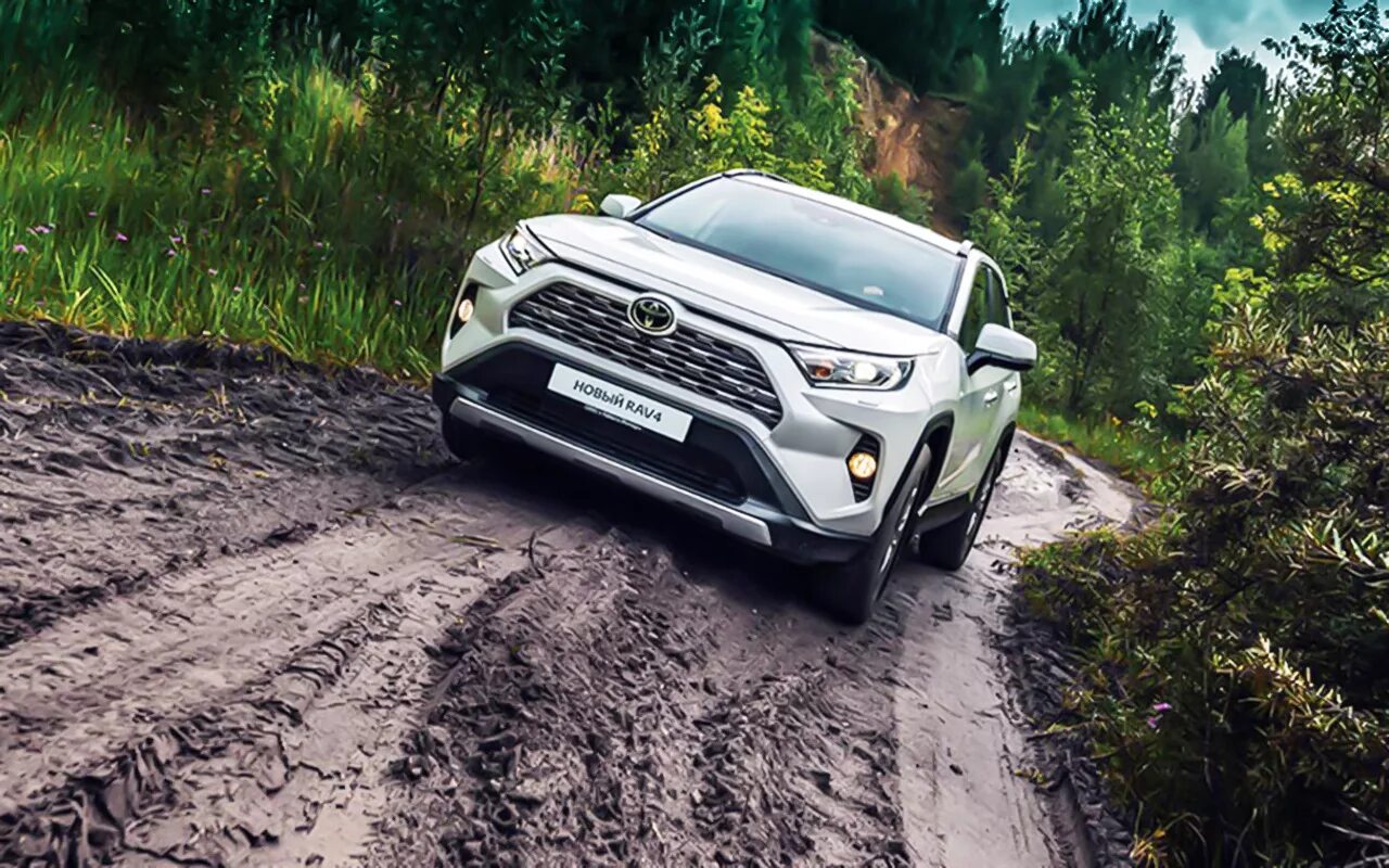 Ремонт рав 4 4 поколения. Новая тойота rav4. новый тойота рав 4 2019. toyota rav4 5 поколение. тойота рав 4 пятого поколения.