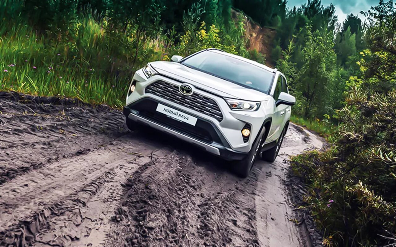 Нов 5 апреля. Toyota rav4 5 поколение. Тойота рав 4 новая. Тойота рав 4 2019. Рав 4 4 поколение.