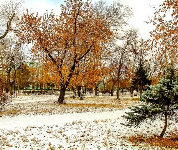 They dropped their clothes..." Dropped his clothes: maple, chestnut, birch... Fr