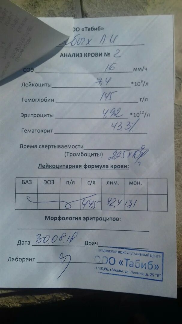 Морфология эритроцитов анализ. Заключение анализа крови. морфология крови анализ. анализ на разжижение крови. гипертоническая болезнь анализ крови показатели.