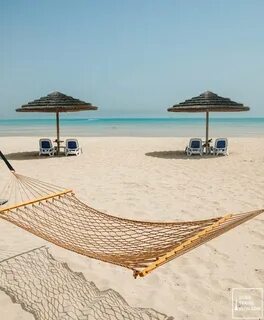 Danat jebel dhanna resort 5