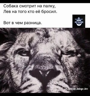 Либо люба
