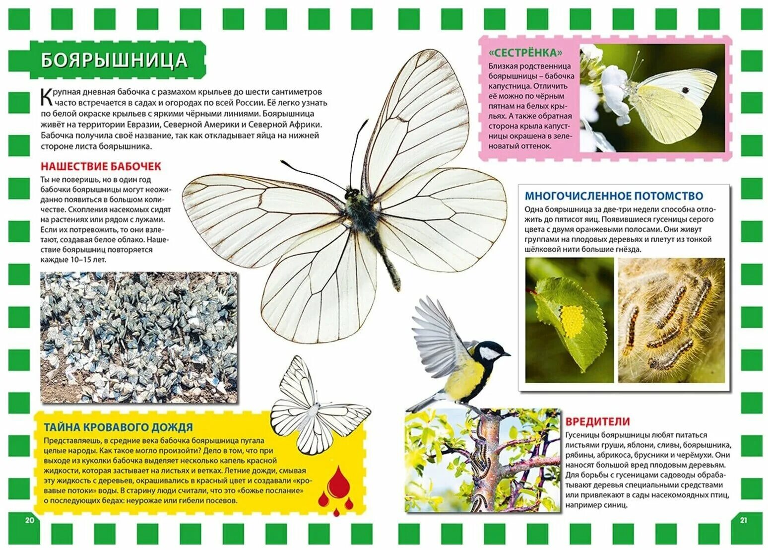 эффект бабочки тетрадь. крылья бабочки. бабочек отзывы. бабочки. коллекция энтомологическая "семейство бабочек".