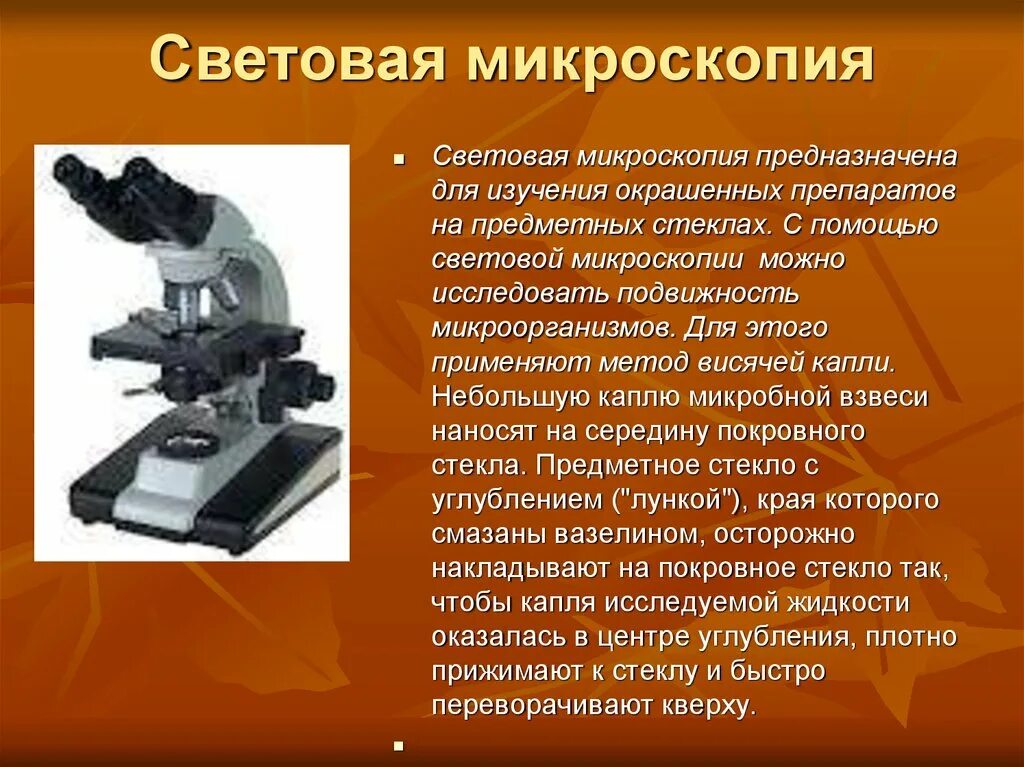 Анализ произведения микроскоп. Метод микроскопии в световом микроскопе. Световой микроскоп микробиология. Световая микроскопия принцип метода. Макровинт у светового микроскопа.