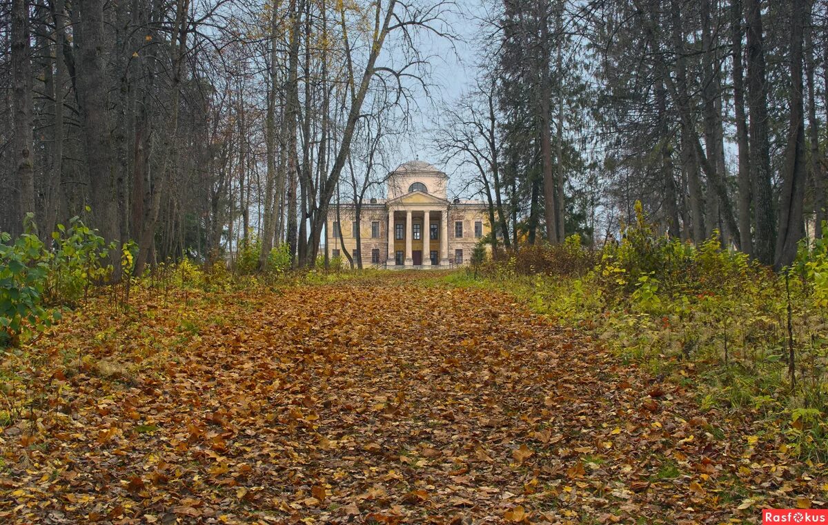 пограничное поместье галина осень.