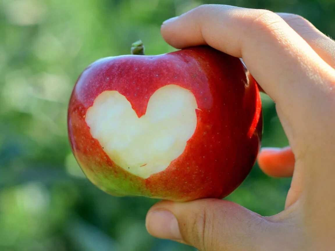 Яблоня любовь. Яблоко. Надкусанное яблоко. Яблоко в виде сердца. Яблоко в руке.