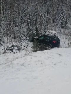 Кемерово тайга