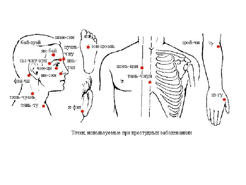 Массаж при орви. Точки акупунктуры при ларингите. Точечный массаж (точки Жень-Чжун. Чэн-Цзян).. Акупунктура тела человека схема болевые точки. Точечный массаж (точки Жень-Чжун, Чэн-Цзян, Хэ ГУ)..