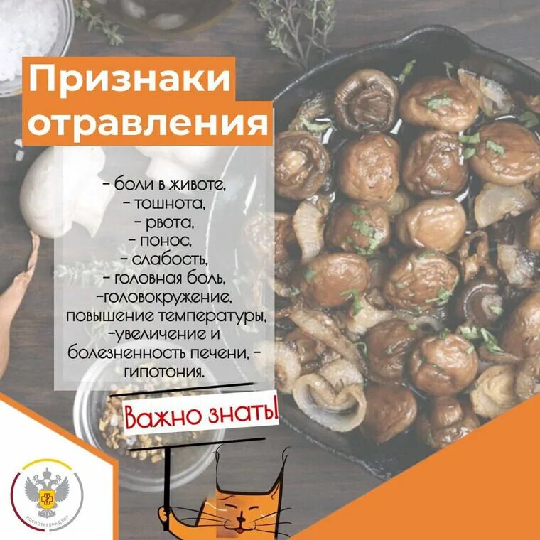Грузди отравление. Отравиться груздями. Грибы белые солёные. Отравиться груздями. Соленые грибы.
