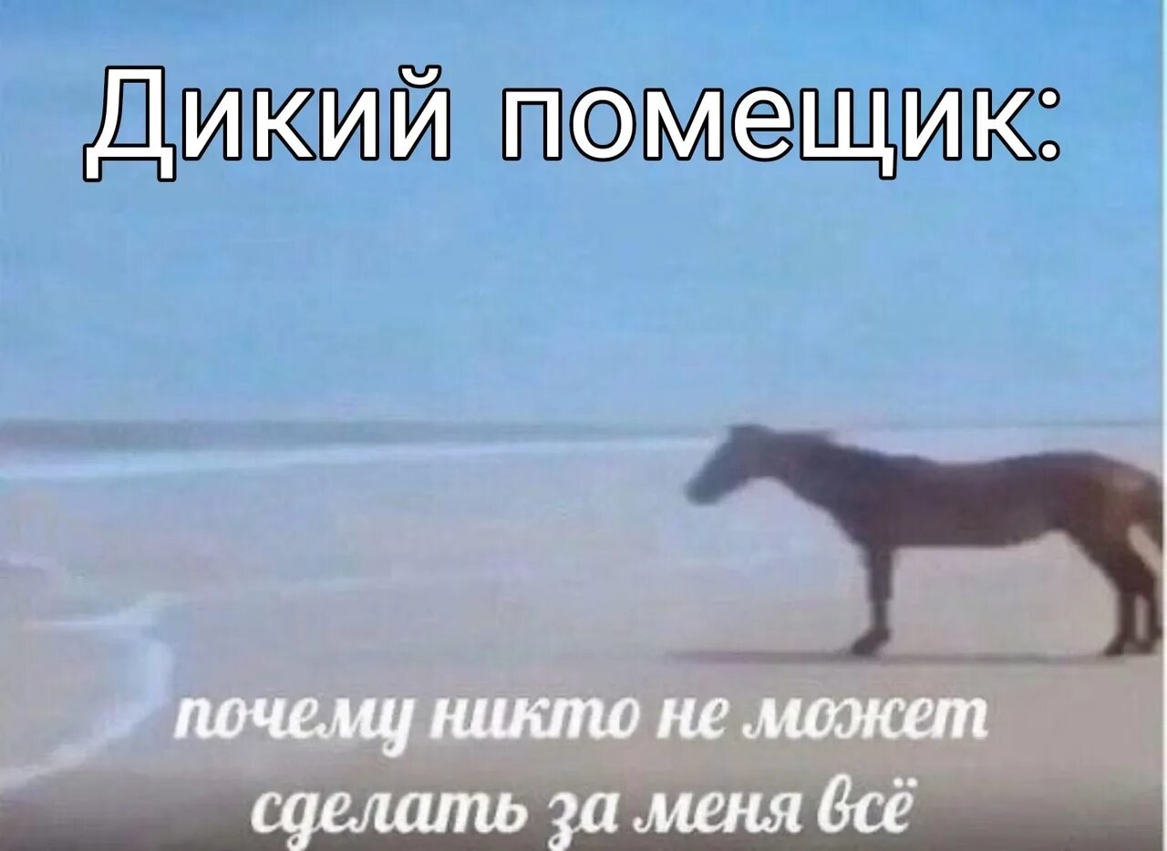 Почему едет он а не я видео