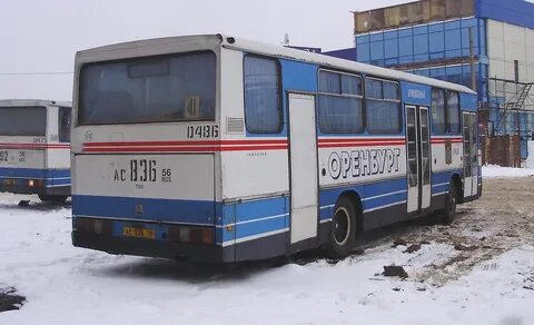 Оренбургская область автобусы