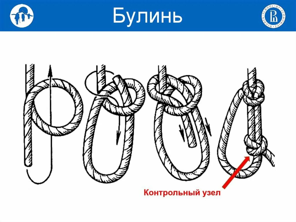 Контрольный узел. Узел булинь схема вязания. Беседочный узел булинь. Морской узел булинь. Туристические узлы булинь.