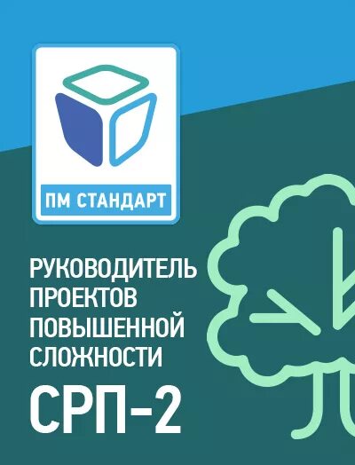 Пм стандарт. Сертификат пм стандарт. пм стандарт срп. значок пм стандарт.