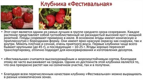 Урожайность виктории