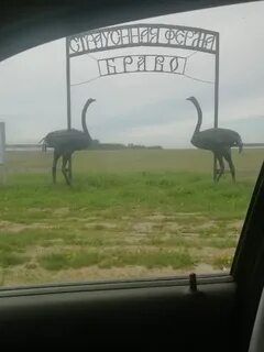 Страусиная ферма браво моргаушский