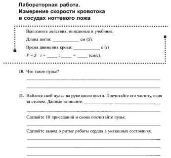 Скорость кровотока в ногтевом ложе