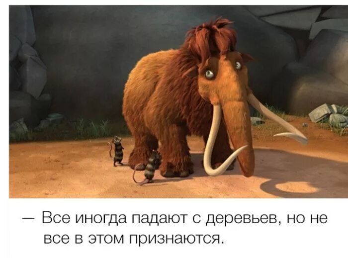 Фразы из мультфильмов ставшие. Смешные фразы из мультфильмов. афоризмы из мультфильмов. смешные цитаты из мультфильмов. цитаты из мультиков.