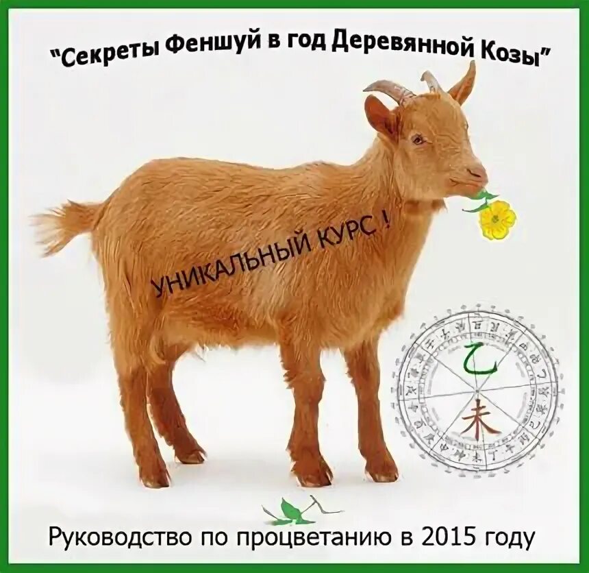 Мужчина весы коза. Год деревянной козы. Год зеленой деревянной козы. Деревянная коза характеристика. Год деревянной козы характеристика.