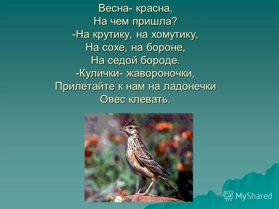 Презентация праздник птиц 1 класс школа россии. Праздник весны праздник птиц презентация 1 класс школа России. Жавороночки конкурс.