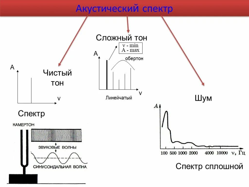 Тональный шум. Тон и Обертон. Чистый тон и Обертон. Линейчатый спектр шума. Сложный тон.