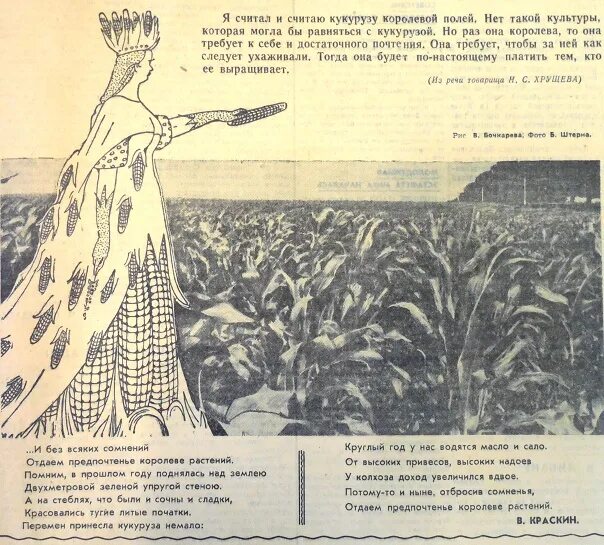 Какая царица полей. Царица полей. геометрия царица полей. королева полей. стих царица полей.