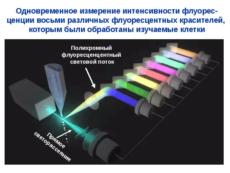 Лазерная Проточная цитометрия. Принцип проточной цитофлуориметрии. Проточная цитофлюорометрия. Метод проточной лазерной цитофлуориметрии. Называют обладают флюоресцируют