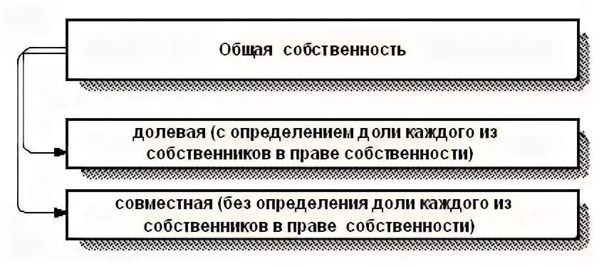 1 3 общей долевой собственности. Общая долевая собственность схемы. Виды долей в праве общей собственности.