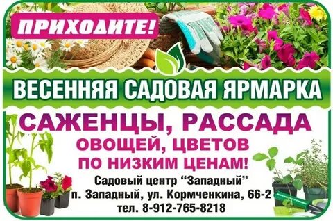 Садовый центр отзывы