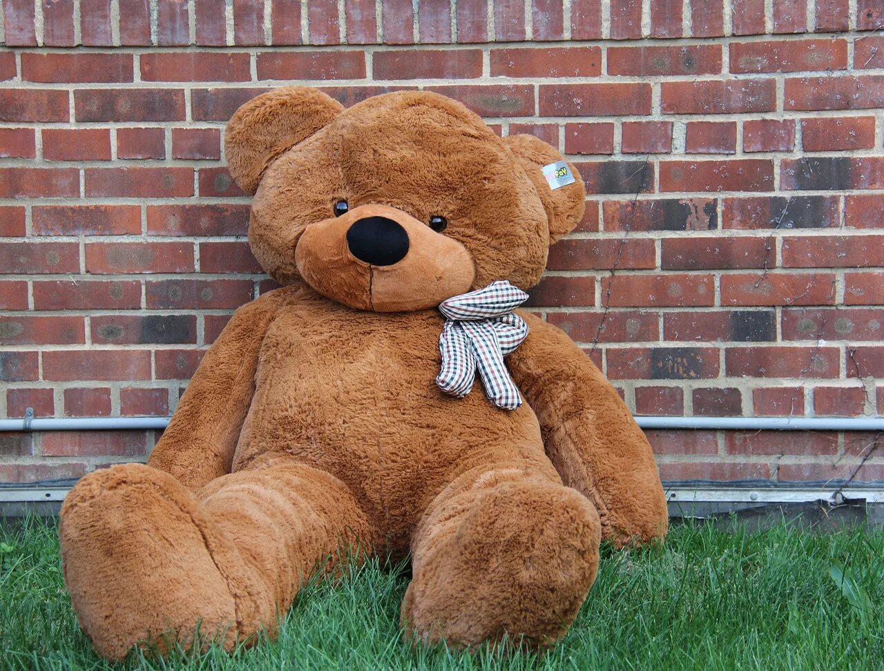 A brown teddy bear. Плюшевый медведь. Огромный мишка. Плюшевый Медвежонок. Большой плюшевый медведь.