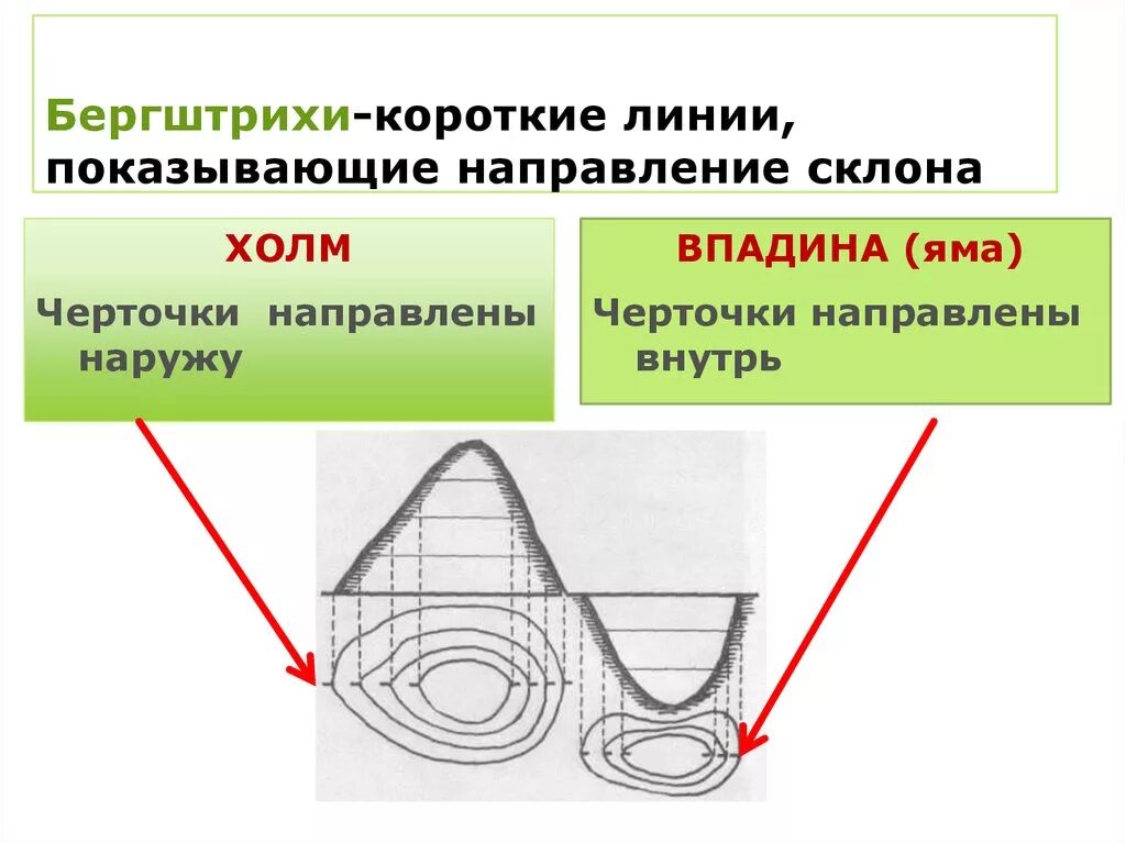 Берг штрихи. Бергштрихи на горизонталях. Изображение холма и впадины. Горизонтали и бергштрихи на карте. Бергштрихи это в географии.