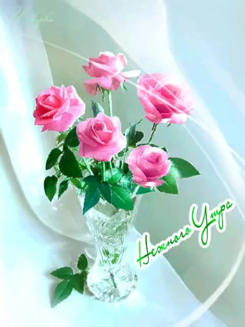 Доброе утро картинки с розами и надписями. Доброе утро цветы красивые. Доброе утро цветы красивые розы. Открытки доброе утро с розами. С добрым утром цветы розы с пожеланиями.