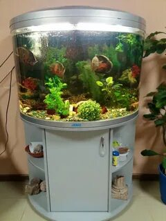Аквариум jebo