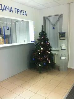 Пэк петрозаводск