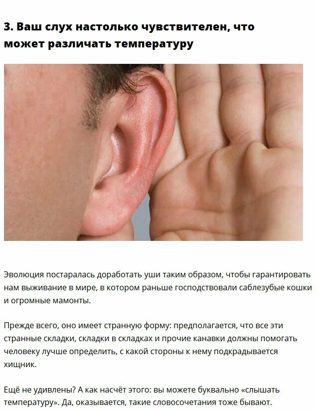 Что может быть чутким