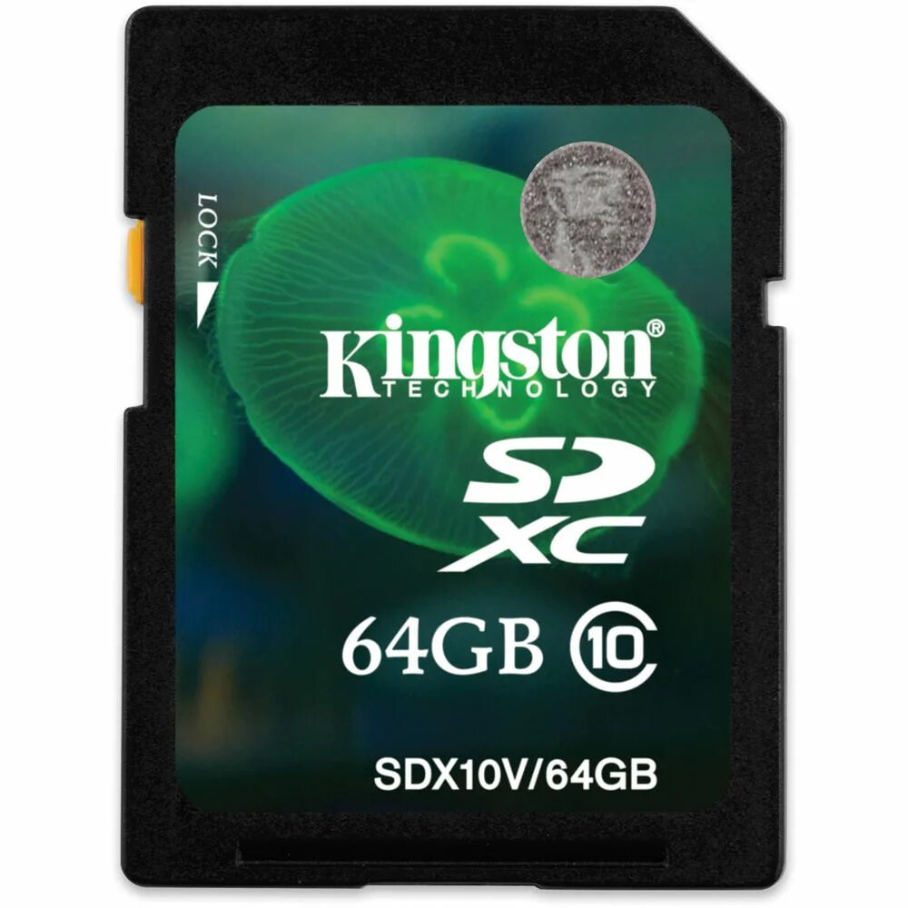 Карта памяти kingston class 10. Карта памяти kingston class 10