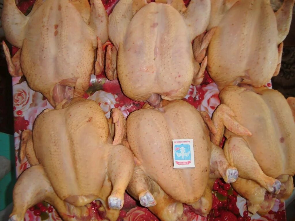 Тушка цыпленка бройлера к/в в/у, вес (цена за 1кг) светофор. Сколько весит курица на одной ноге. Сколько весит куритсаа. 1 кг курицы. Курица на одной ноге.