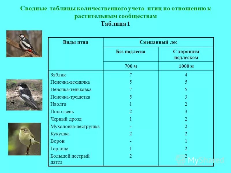 Игра "Знатоки природы" - биология, мероприятия