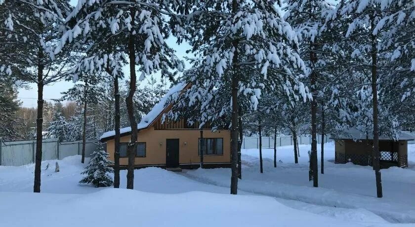 деревенский домик. деревня долгое тула. старая русса поселки старые. деревня слуда архангельская область. деревня долги.