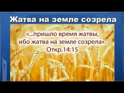 Песни жатвы время года