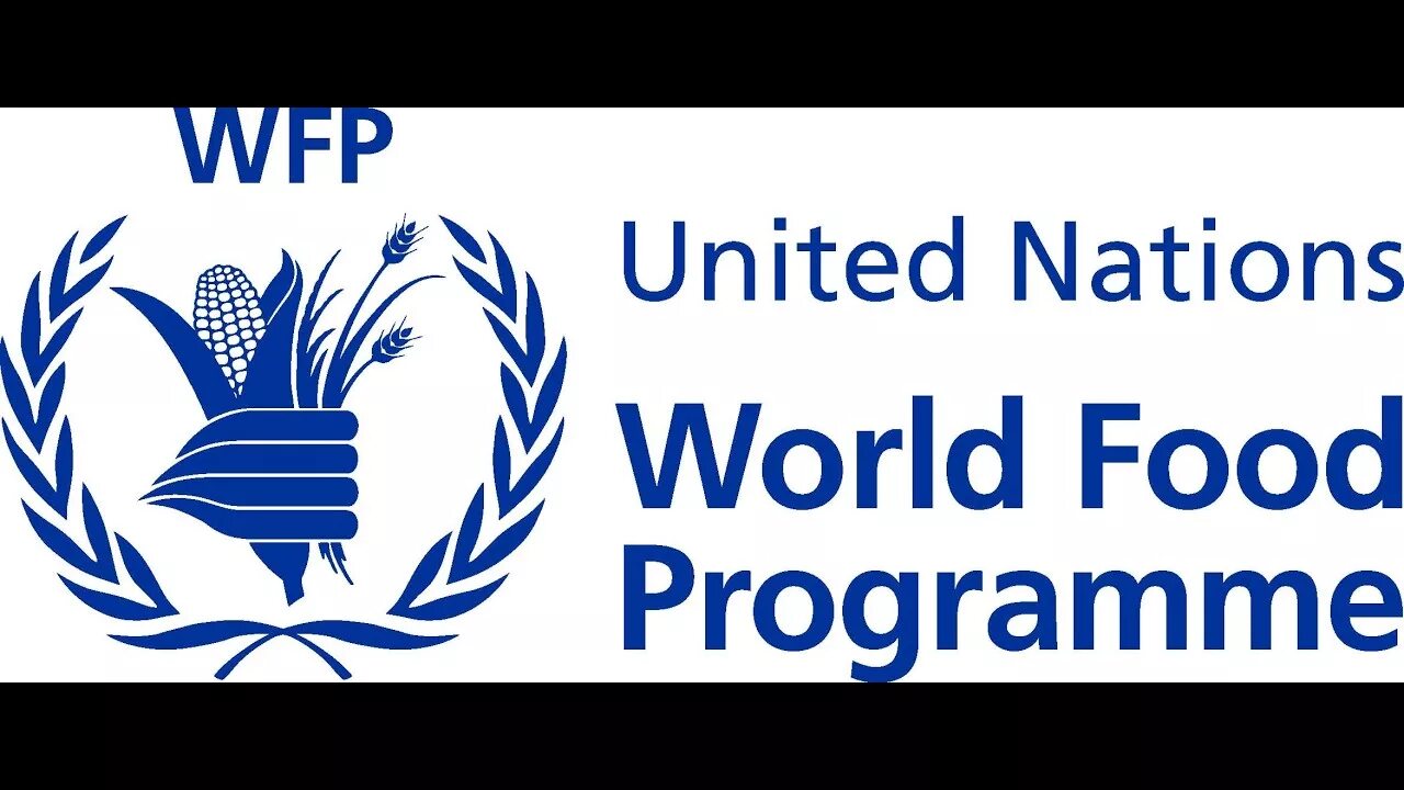 Продовольственная оон. Продовольственная программа ООН. World food programme. ООН WFP. Logo un WFP.