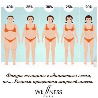 Почему стоит вес отзывы