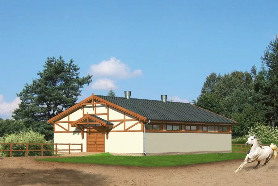 конюшня терлецкий парк. обменник на конюшен 2. норд вест конюшня. проект конюшни на 2 головы. денники в конюшне звёздный.