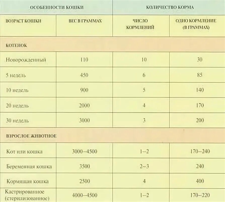 Через сколько кормят котят. Сколько сухого корма давать 1.5 месячному котенку. Норма кормления котенка 3 месяца. Сколько корма давать котенку в 1.5 месяца. Правильная таблица кормления котят.