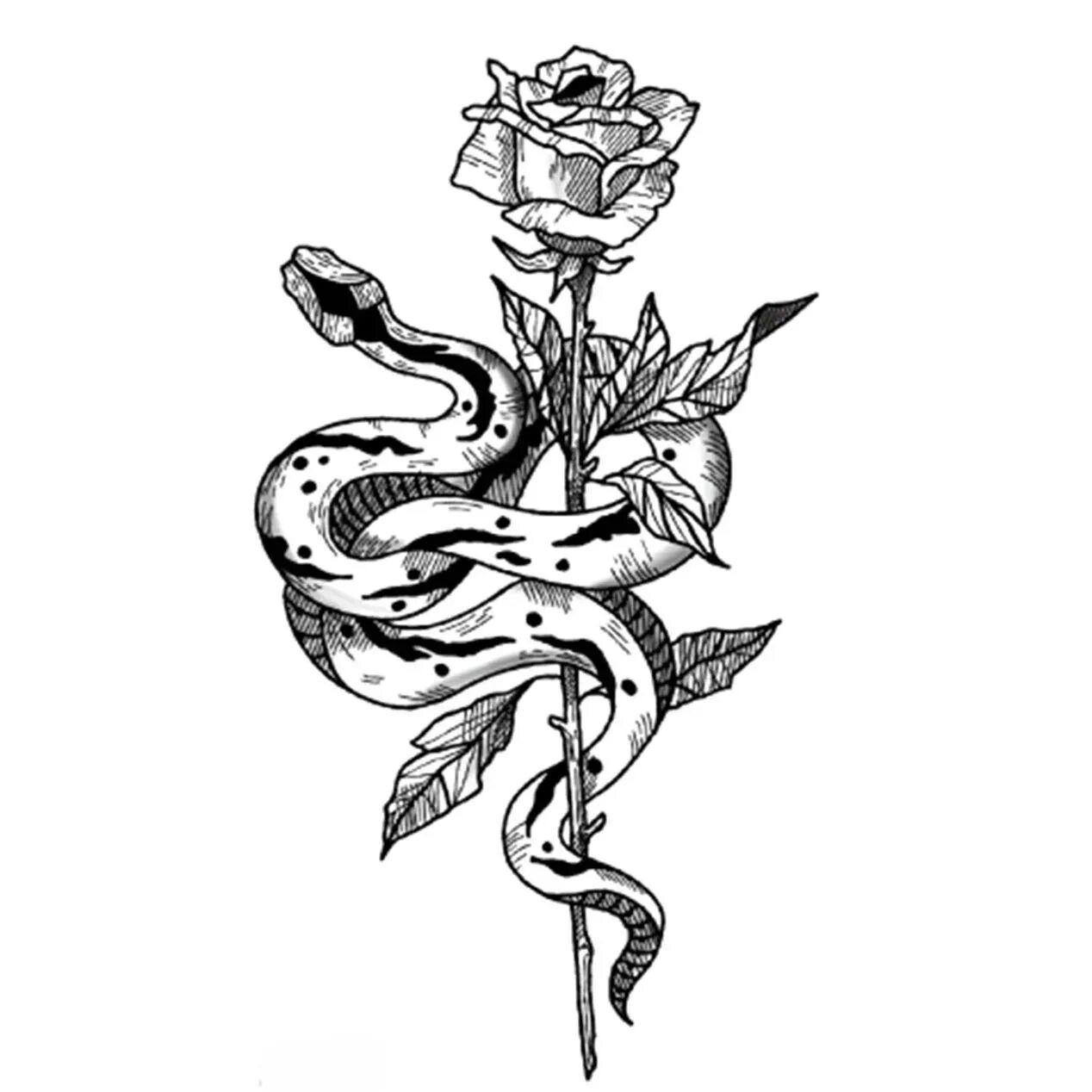 Змея и цветок 2. Тату змея с розой эскиз. Тату змея с розой. Татуировка змея с розой. Змея с кинжалом тату эскиз.