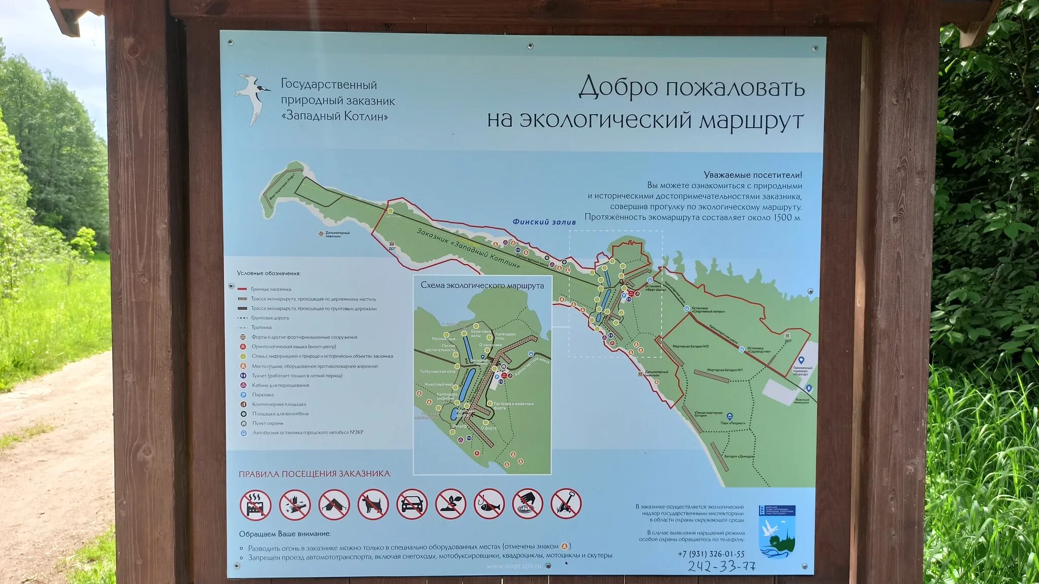 Прогулочный маршрут западный. Западный котлин маршрут экотропа. природный заказник западный котлин. эко тропа западный котлин. экотропа кронштадт.