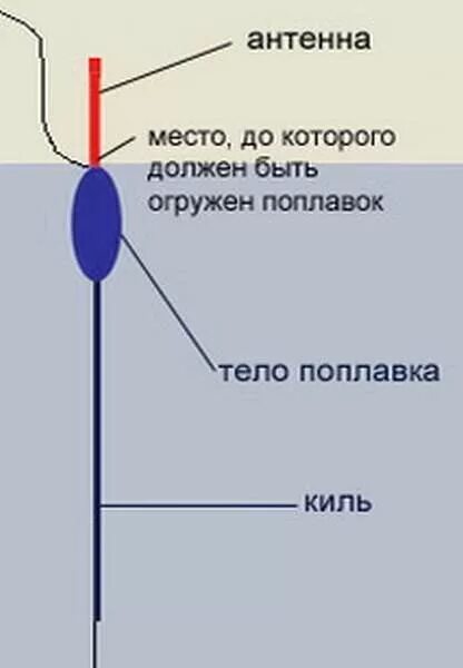 Поплавок погруженный в воду. Поплавки для болонской удочки. Поплавки для маховой удочки. Удочка с поплавком. Монтаж поплавка на удочку.