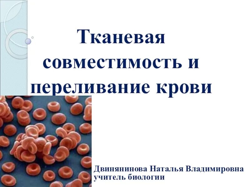 Что такое тканевая совместимость. Тканевая совместимость и переливание крови. тканевая совместимость и переливание крови 8 класс биология. тканевая совместимость. биология тканевая совместимость и переливание крови.