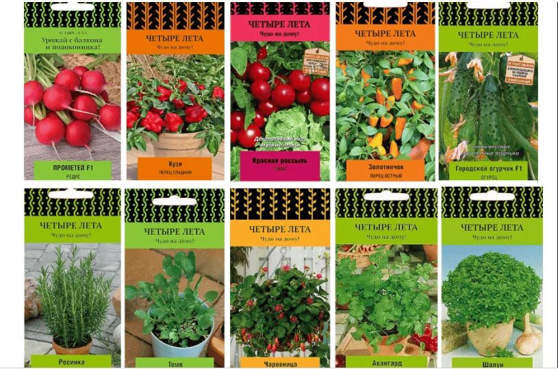Балконные семена овощей. Семена овощей набор. Набор семян овощи. Семена овощей, ягод и цветов. Агрофирма поиск каталог 2024 год