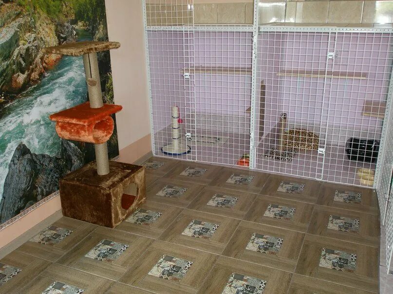 гостиница для собак. зоогостиница для кошек. гостиница для кошек в москве. передержка животных. зоогостиница виляйка.